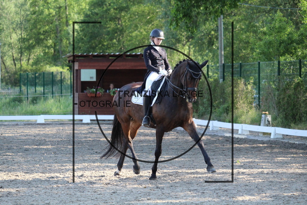 IMG_5986 | franziskalange - Realisiert mit Pictrs.com