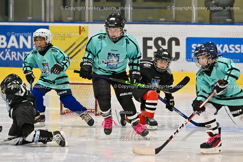 ESC Sparkasse Steindorf vs. LE Kings | Nachwuchs ESC Steindorf, ESC Sparkasse Steindorf vs. LE Kings, ESC Sparkasse Steindorf vs. LE Kings am 01.11.2025 in Steindorf (Ossiachersee Halle), Austria, (Photo by Bernd Stefan)