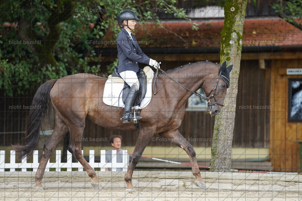 20230826-FAH05211 | Forstinning, 2023, Dressurturnier, Turniersportbilder, Turnierfotografen Bayern, Fotoagentur Herrmann, Reitsportfotografie, Turnierbilder