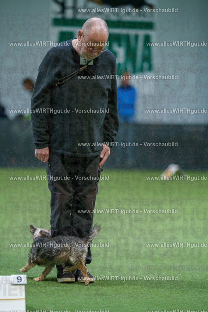 7R506136 | Professionelle Tierfotografie in Mönchengladbach von Daniel Wirth (allesWIRTHgut). Liebevolle & natürliche Bilder von Hunden & Katzen für unvergessliche Erinnerungen.