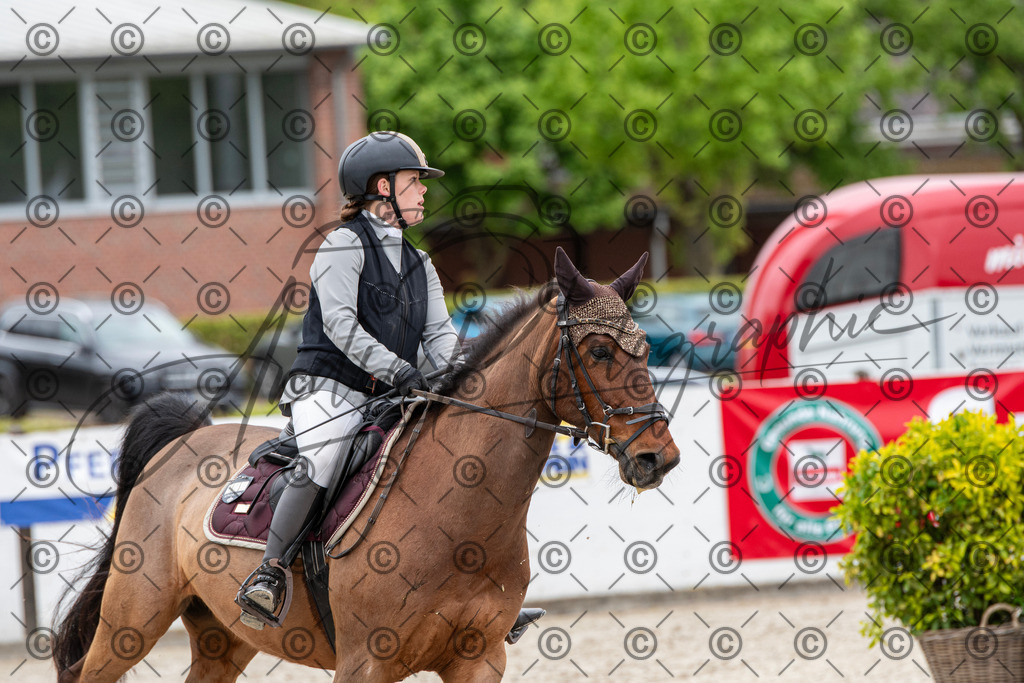 KPT_8332 | andre_photographic