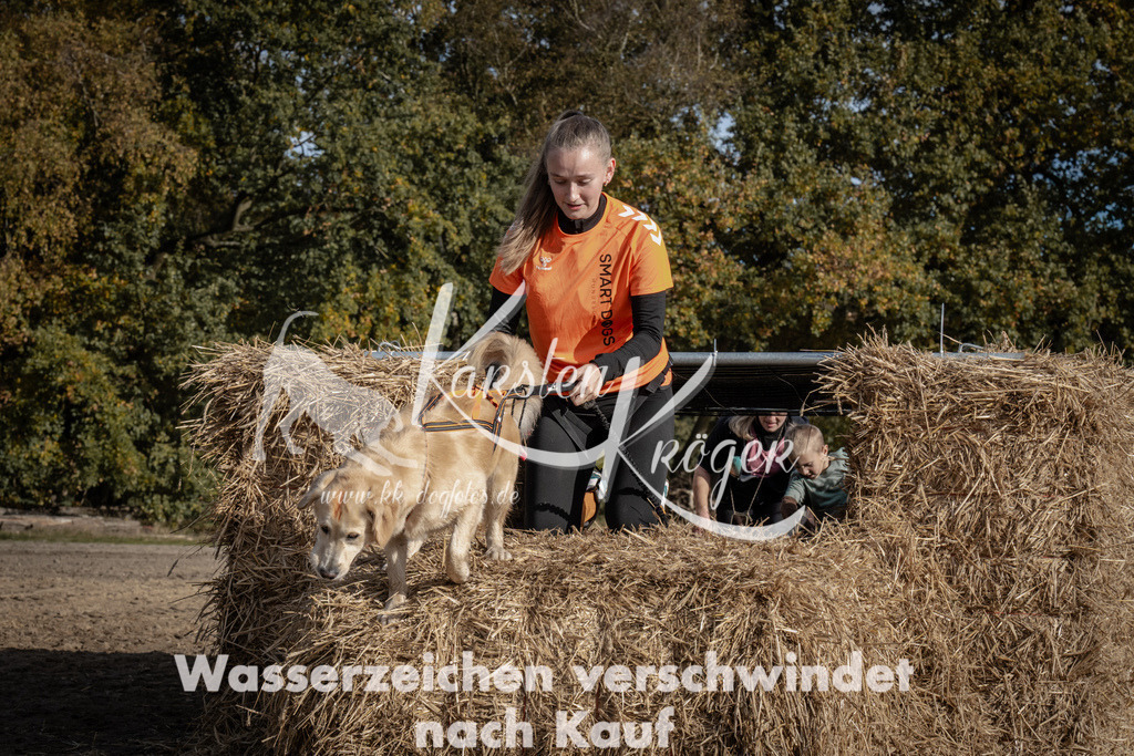 1156_ZZ93080 | kk-dogfotos