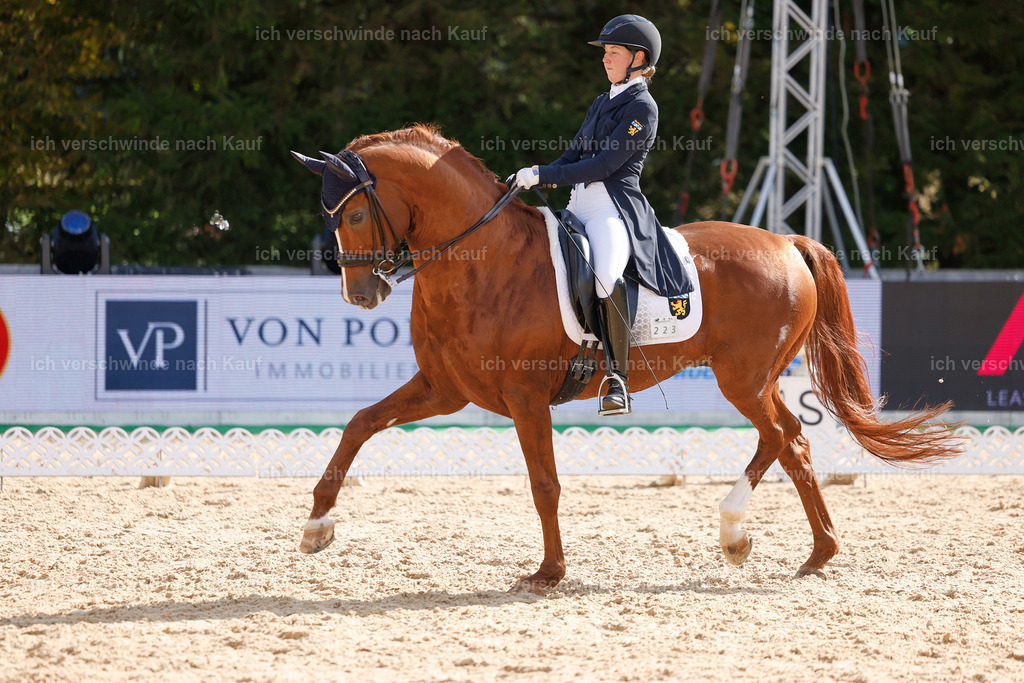 09_2-223-DRESSUR  S_  -StoibPH-5791 | working equitationturnier fotograf videograf stoibphotography marixx film working equitation deutschland reitsport turnierfotografie eventfotografie equestrian events