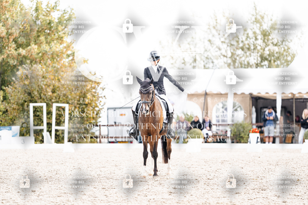 CK901602 | Turnierfotografie Pferdefotografie Trier Rheinland-Pfalz Pferdesport Reitsport Tierfotografie Sportfotografie Pferdevideo Pferdevideografie Equestrianvideography equestrianphotography  - Realisiert mit Pictrs.com