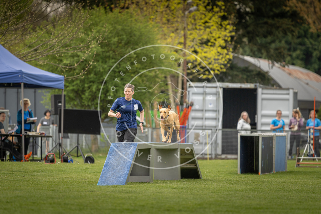 Pfotenfotografie_DV3A7012 | Hundefotografie, Tierfotograf, Pfotenfotografie, Fotoshooting Hund, Hunde Portrait, Hundesport, Hundeportraits, Heideshooting, Hunde, Sportfotograf, Hundefotograf, Turnierhundsport, THS,  - Realisiert mit Pictrs.com