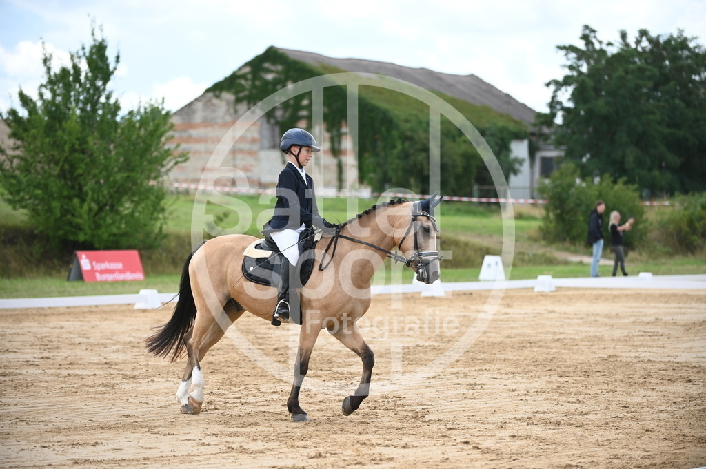 DSC_6267 | sattelsport - Realisiert mit Pictrs.com