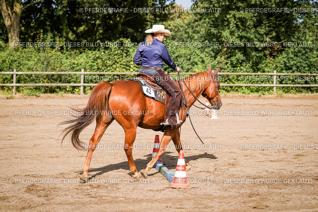 DSC00328 | Pferdegrafie