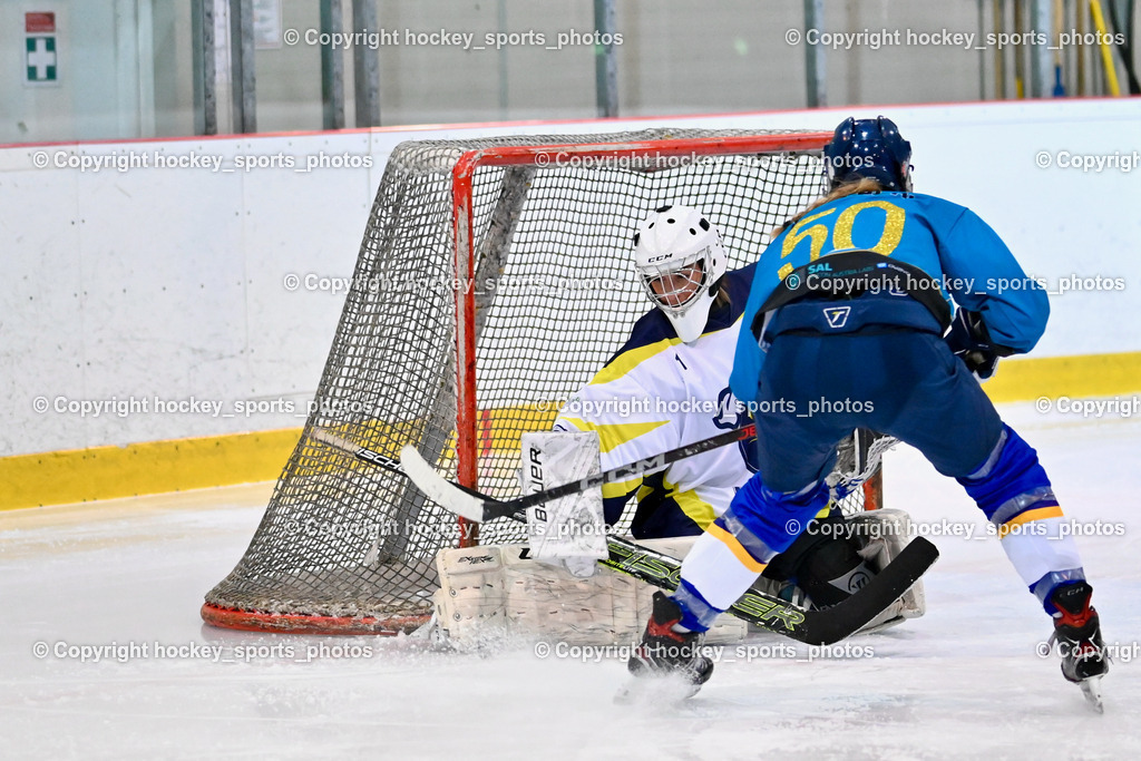 BST_6693 | hockey sports photos, Pressefotos, Sportfotos, hockey247, win 2day icehockeyleague, Handball Austria, Floorball Austria, ÖVV, Kärntner Eishockeyverband, KEHV, KFV, Kärntner Fussballverband, Österreichischer Volleyballverband, Alps Hockey League, ÖFB, 