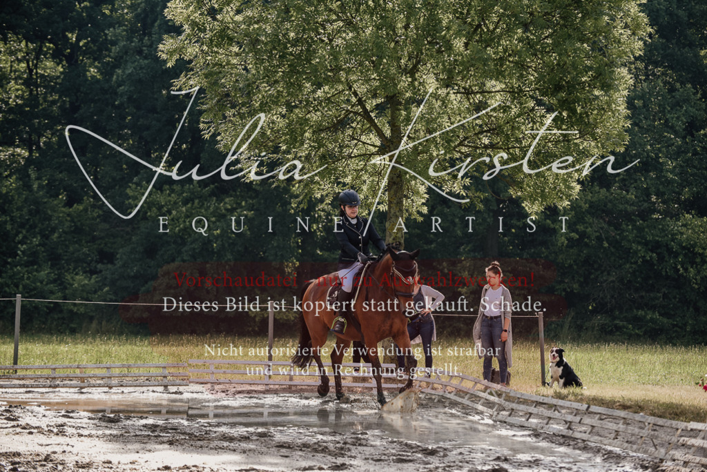 DSC_8514 | Pferde- und Turnierfotografie in Westsachsen. Pferdeportraits, Auftragszeichnungen und intuitive Kunst.