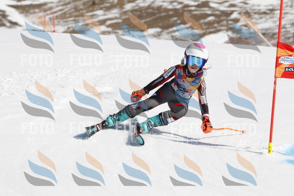 _U3G9546 | holidayphoto