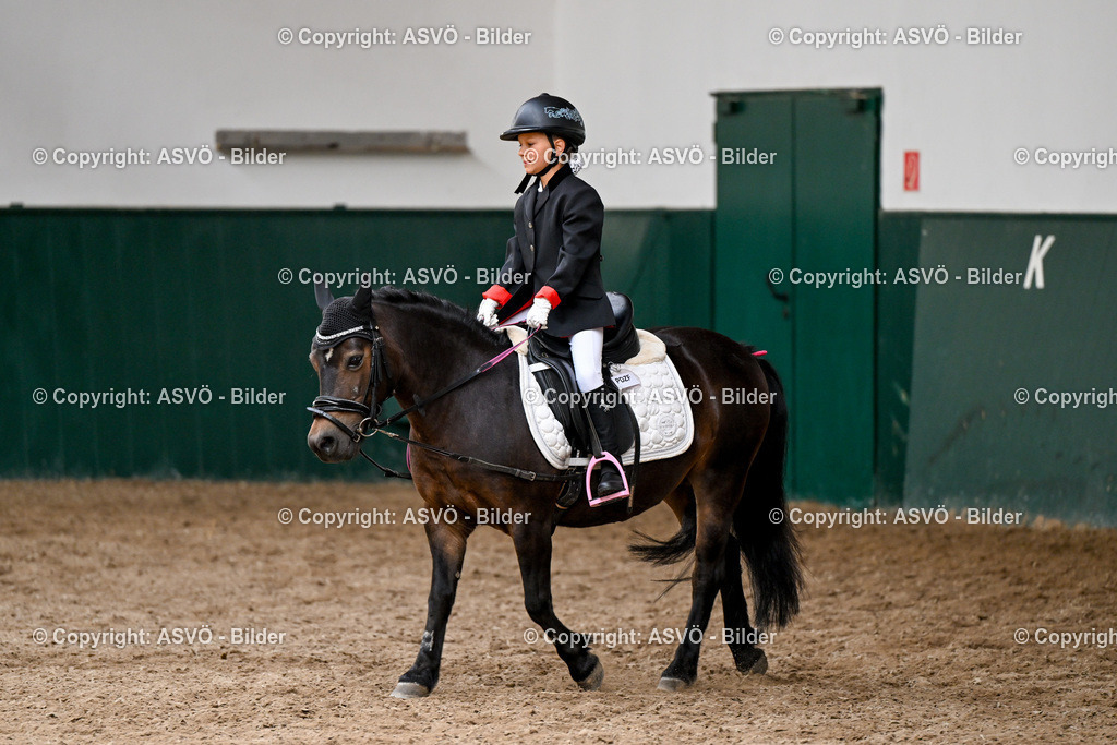 ASVÖ_ Reiten Bezirksmeisterschaft_ 24.08.2025-72 | 24.08.2025, AUT, ASVÖ, Reiten Bezirksmeisterschaft 2025Dressur und Springreiten©fodo.media / Harald Dostal - Realisiert mit Pictrs.com