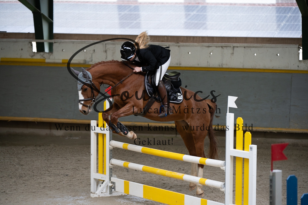 A7V01235 | Pferdefotograf