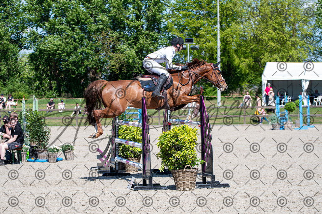 KPT_1095 | andre_photographic