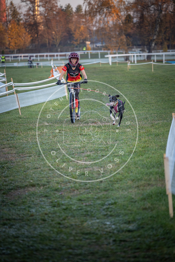 CaniXpix_0L8A0966 | Hundefotografie, Tierfotograf, Pfotenfotografie, Fotoshooting Hund, Hunde Portrait, Hundesport, Hundeportraits, Heideshooting, Hunde, Sportfotograf, Hundefotograf, Turnierhundsport, THS,  - Realisiert mit Pictrs.com