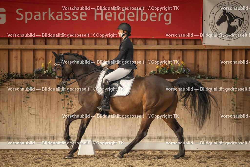 _D5A3429 | Emotionale Pferde- & People-Fotografie rund um Heidelberg, Leimen & Umgebung. Natürliche Fotos von Pferd, Mensch & Familie. Jetzt Termin sichern!