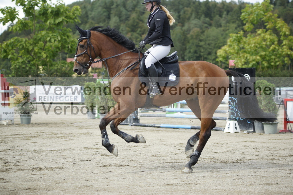 _DSC4318 | equestrian-live-com