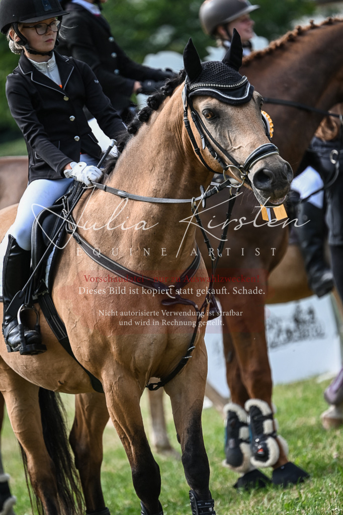 DSC_8672 | Pferde- und Turnierfotografie in Westsachsen. Pferdeportraits, Auftragszeichnungen und intuitive Kunst.