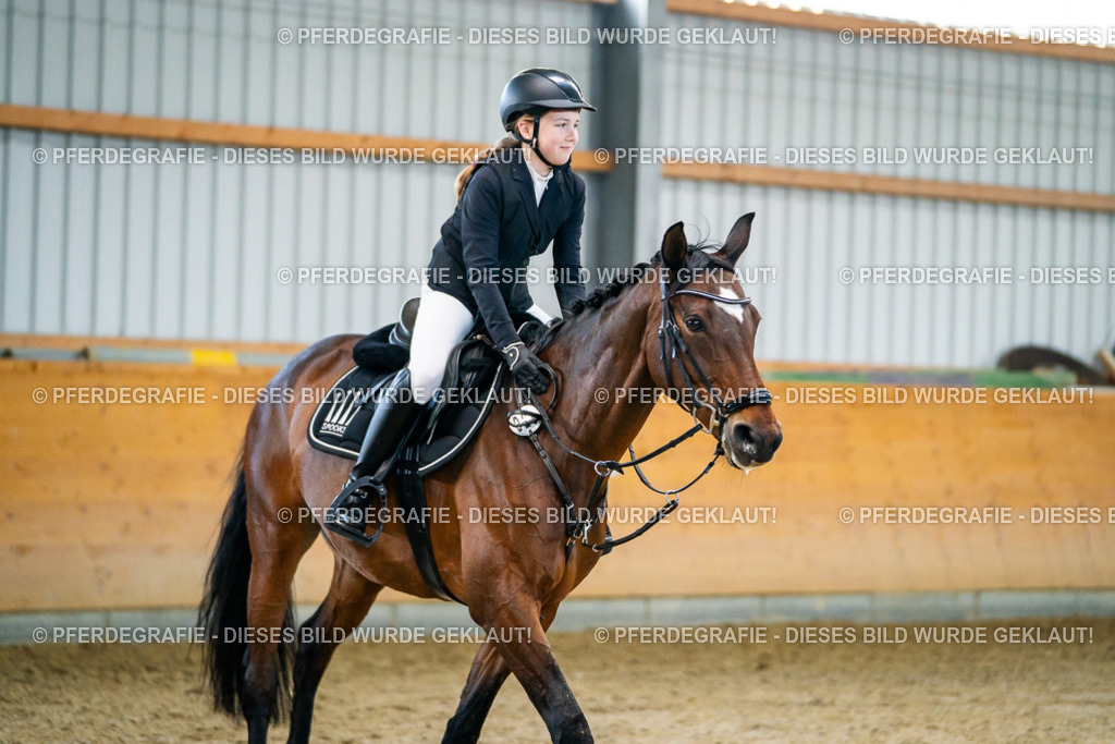 DSC00650 | Pferdegrafie