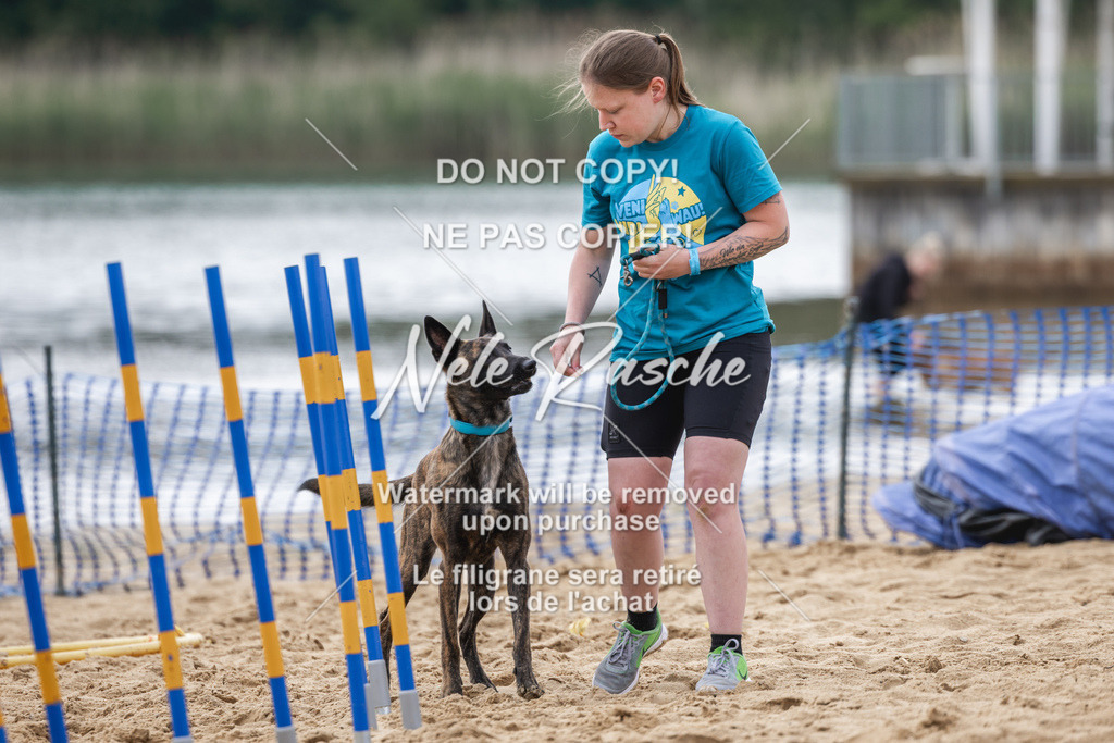 nelerasche_BuHu2026_So1530-Ende_103 | nelerasche
