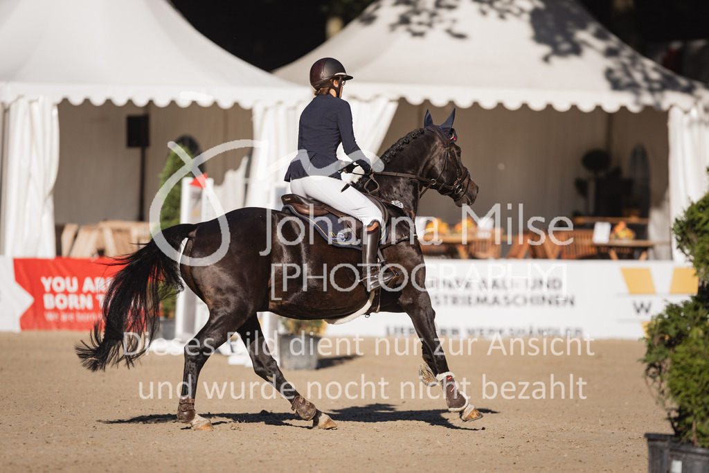 230908_OWLCh_AmateurS-114 | Deine schönsten Turniermomente als professionelle Fotos! Entdecke hochwertige Pferdesport-Fotografie im Online-Shop. Jetzt Fotos finden & bestellen!