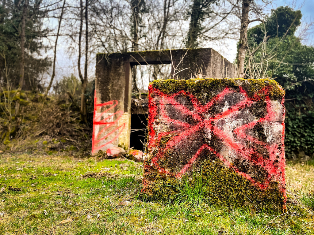Graffiti - Ortenberg | Niemand ist geduldiger als die Natur. Alles vom Menschen geschaffene wird von ihr früher oder später für das Ökosystem der Erde zurückerobert. Dabei entstehen surreale Kunstwerke, die die Ästhetik des Unvermeidbaren für einen Moment einfangen. Im steten Veränderungsdrang der Natur kann der wiederkehrende Beobachter den Lauf der Dinge erkennen. - Realisiert mit Pictrs.com