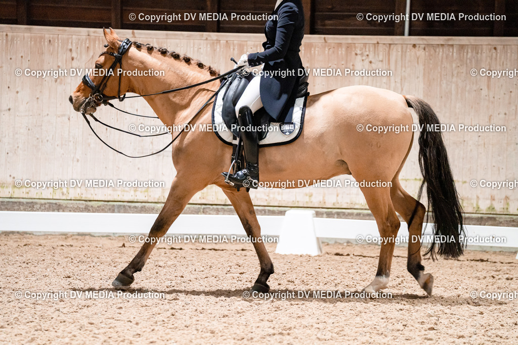 Dressur Tag 2-619 | dv-media-shop - Realisiert mit Pictrs.com