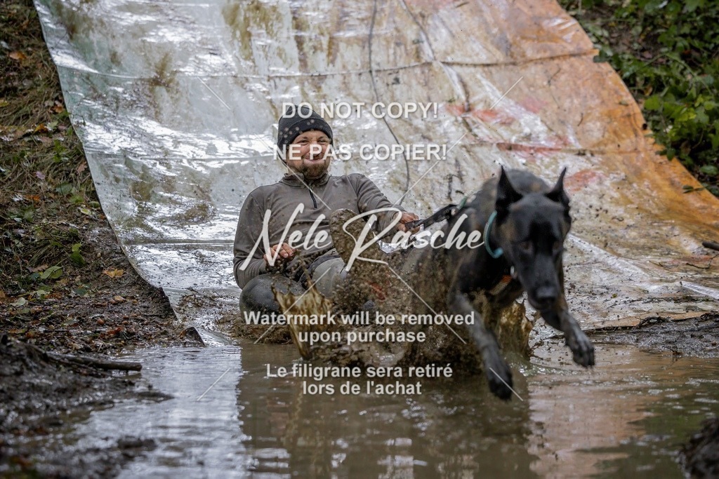 nelerasche_Hunsrück_Sa1430-1500_20-final | nelerasche