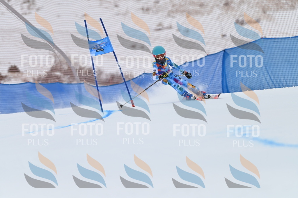 BGV_1027 | holidayphoto