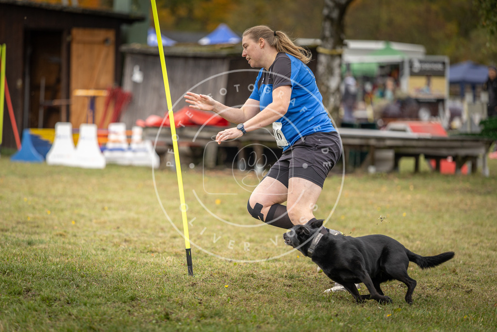 Pfotenfotografie_DV3A7400 | Hundefotografie, Tierfotograf, Pfotenfotografie, Fotoshooting Hund, Hunde Portrait, Hundesport, Hundeportraits, Heideshooting, Hunde, Sportfotograf, Hundefotograf, Turnierhundsport, THS,  - Realisiert mit Pictrs.com