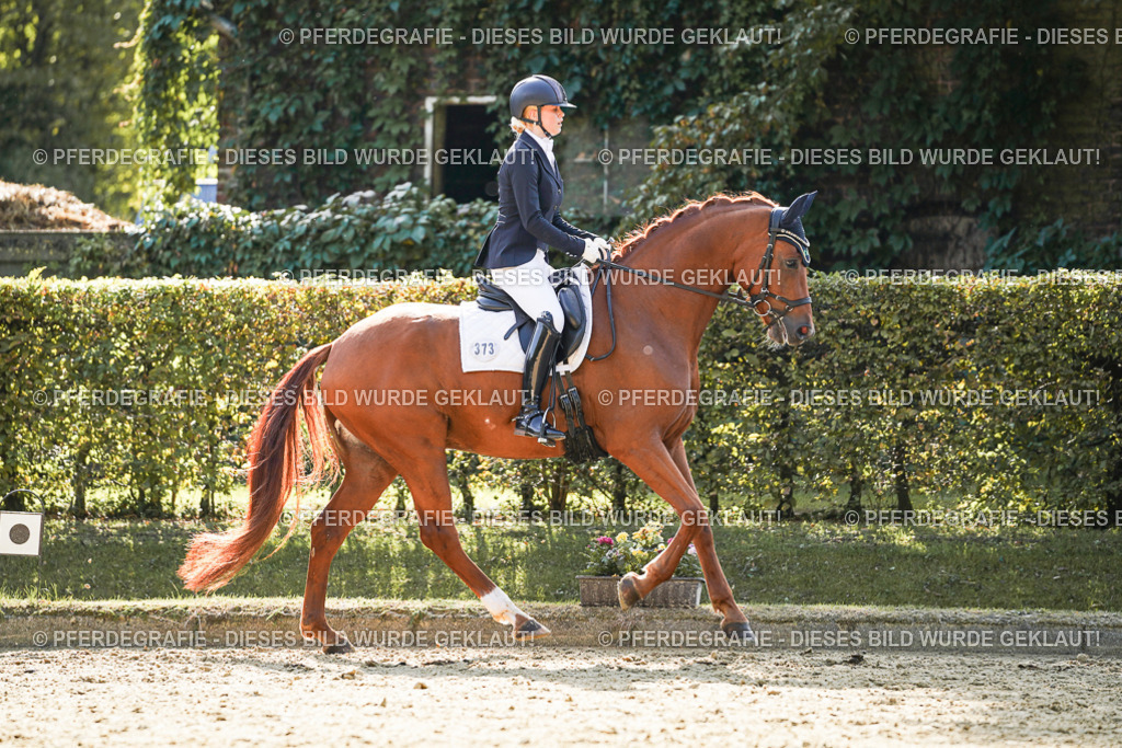 DSC07389 | Pferdegrafie