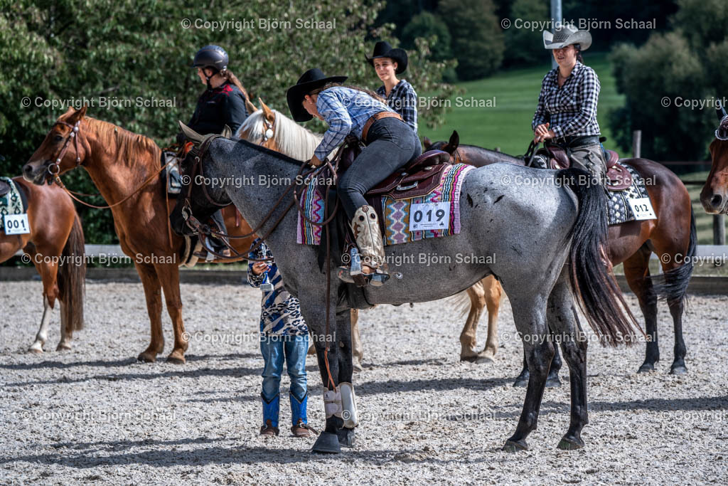 HOB08955 | BS-foto