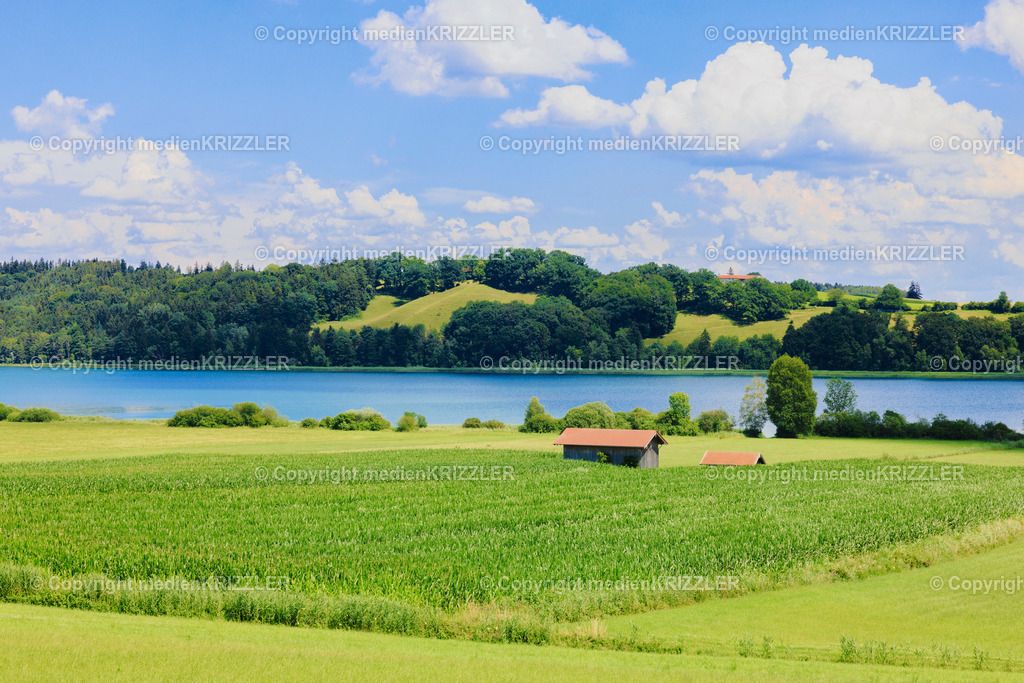 _J3A8108 | medienkrizzler - Realisiert mit Pictrs.com