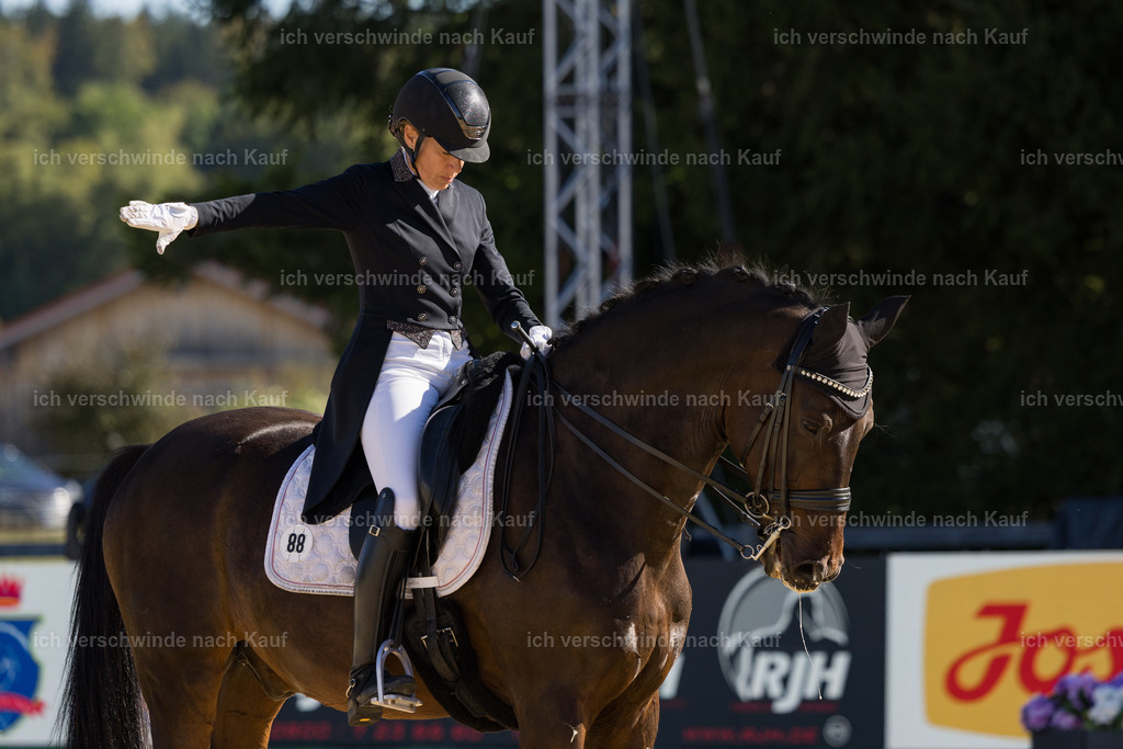 FHC2026_P07_88_17593 | working equitationturnier fotograf videograf stoibphotography marixx film working equitation deutschland reitsport turnierfotografie eventfotografie equestrian events