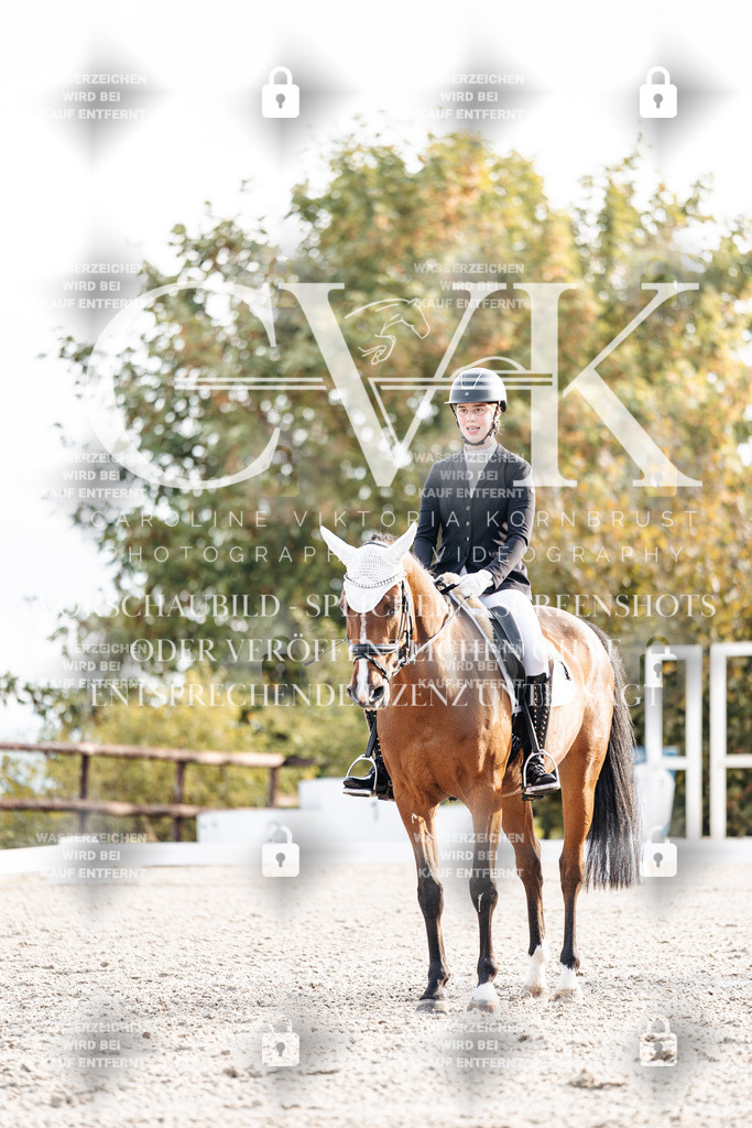 CK900473 | Turnierfotografie Pferdefotografie Trier Rheinland-Pfalz Pferdesport Reitsport Tierfotografie Sportfotografie Pferdevideo Pferdevideografie Equestrianvideography equestrianphotography  - Realisiert mit Pictrs.com