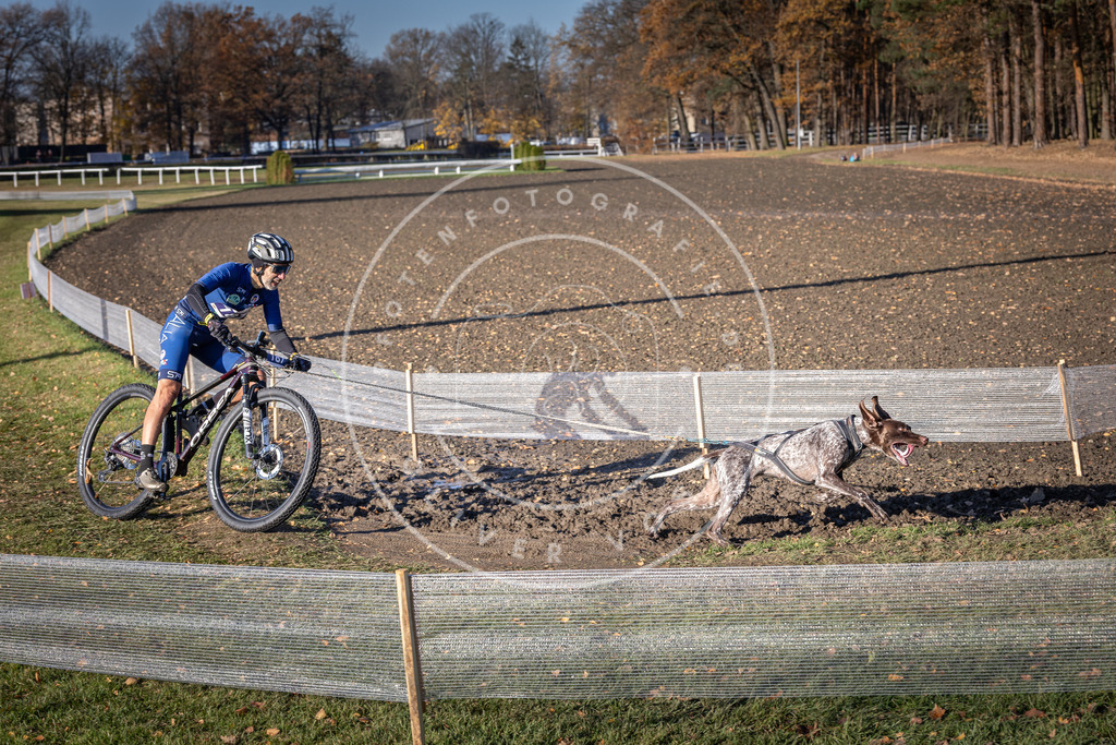 CaniXpix_DV3A2349 | Hundefotografie, Tierfotograf, Pfotenfotografie, Fotoshooting Hund, Hunde Portrait, Hundesport, Hundeportraits, Heideshooting, Hunde, Sportfotograf, Hundefotograf, Turnierhundsport, THS,  - Realisiert mit Pictrs.com