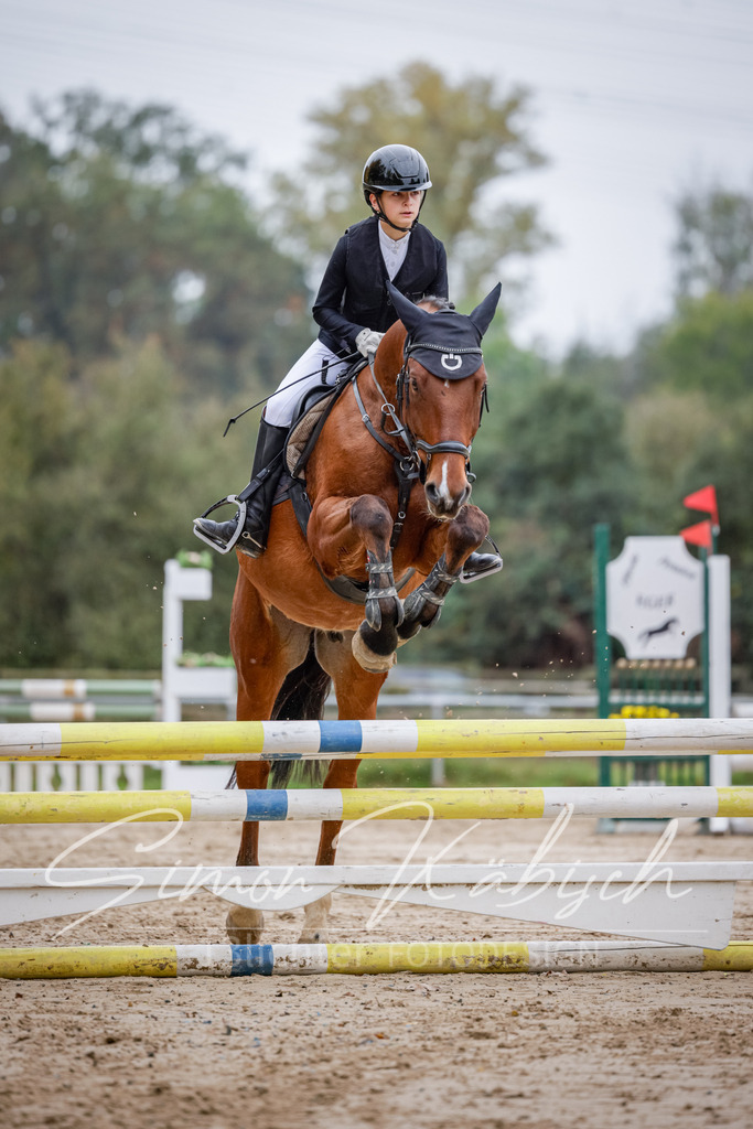 20251012-_3LI3406 | Tierfotografie Pferde, Hunde, Katzen, Haustiere.
Turnierfotografie Reitturniere, Reiten, Springreiten, Dressur in Hanau, dem Main-Kinzig-Kreis und dem Rhein-Main- Gebiet um Frankfurt