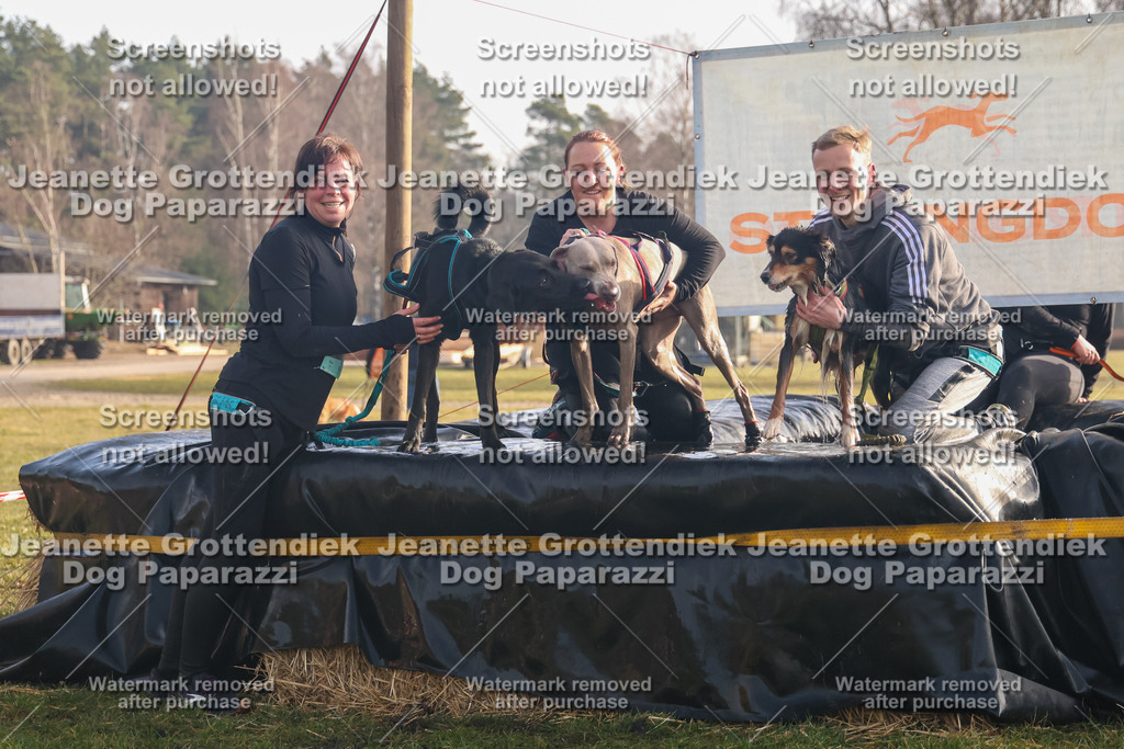 Dog Paparazzi - SD North 0326 900930-241 | Dog Paparazzi Jeanette Grottendiek Fotografie & Videografie - Realisiert mit Pictrs.com