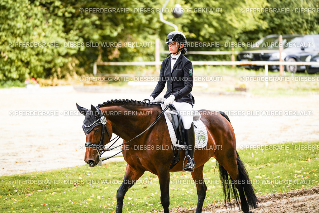 DSC02109 | Pferdegrafie