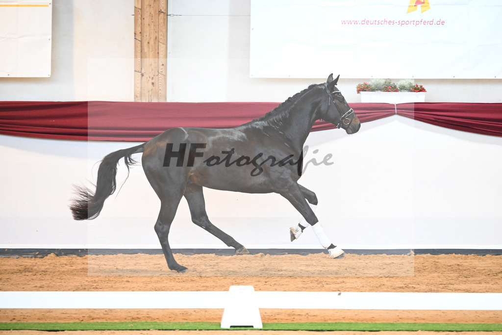 Kat-Nr. 40 v. Lord Europe_Bergmann_66221901 | hf-fotografie - Realisiert mit Pictrs.com