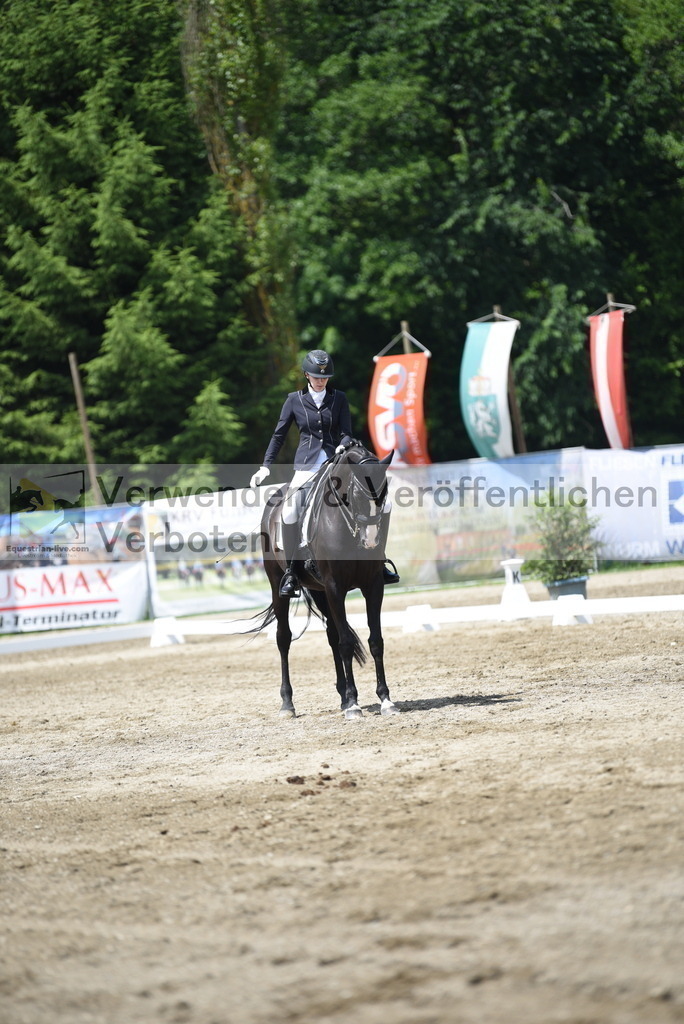 DSC_8983 | equestrian-live-com