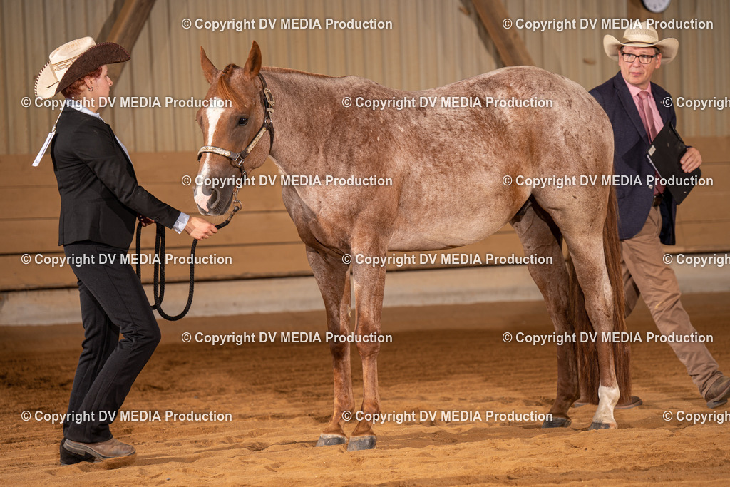 NID00027 | dv-media-shop - Realisiert mit Pictrs.com