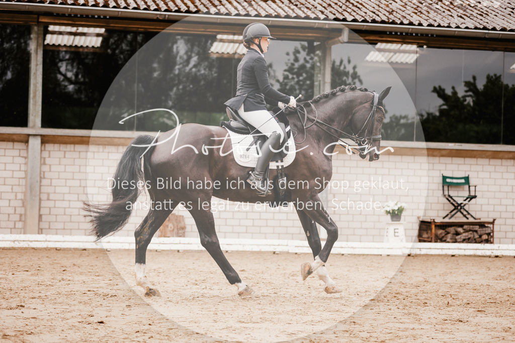3I6A7690 | Stimmungsvolle Portraits und Reitsportfotografie im Ruhrgebiet und im Münsterland.

Pferdefotografie, Hundefotografie, Tierfotografie, Reportagen, Portraits von Tier und Mensch, Turnierfotografie in Bochum, Recklinghausen, Marl, Haltern am See, Dülmen.. - Realisiert mit Pictrs.com