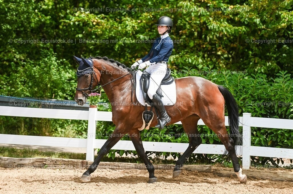 20230716_03_Dressurprfg. Kl.L - Tr._0251 | equistock
