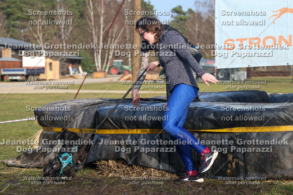 Dog Paparazzi - Strongdog North Mrz26-3546 | Dog Paparazzi Jeanette Grottendiek Fotografie & Videografie - Realisiert mit Pictrs.com