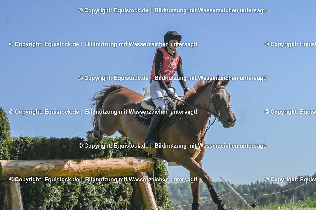 20250517_CCI2_Gelände_0701 | Foto: Thomas Hartig