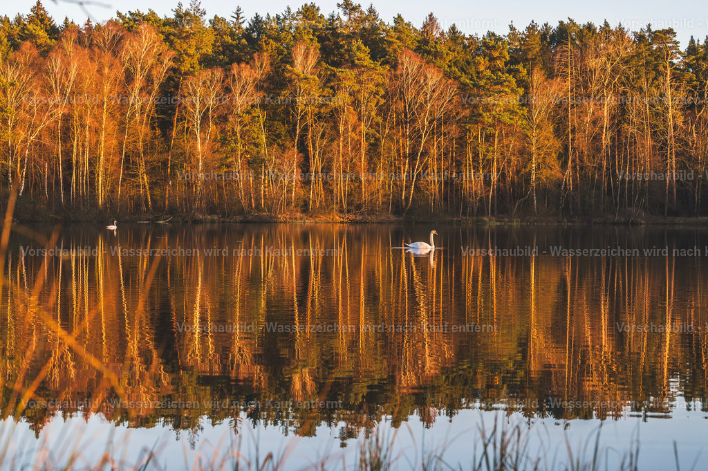 Fotoatelier Christian Hofmeister | Stadtlandschaften, sowie Makro-, Landschafts-, Natur- und Schwarzweißfotos aus der Region Celle &amp; Umgebung