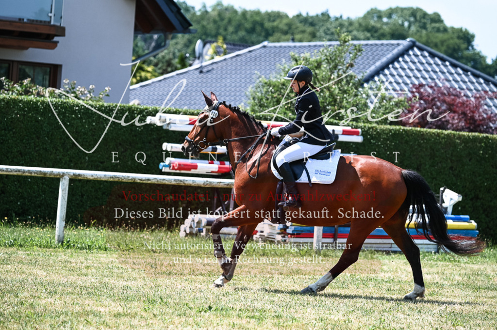 DSC_9880 | Pferde- und Turnierfotografie in Westsachsen. Pferdeportraits, Auftragszeichnungen und intuitive Kunst.