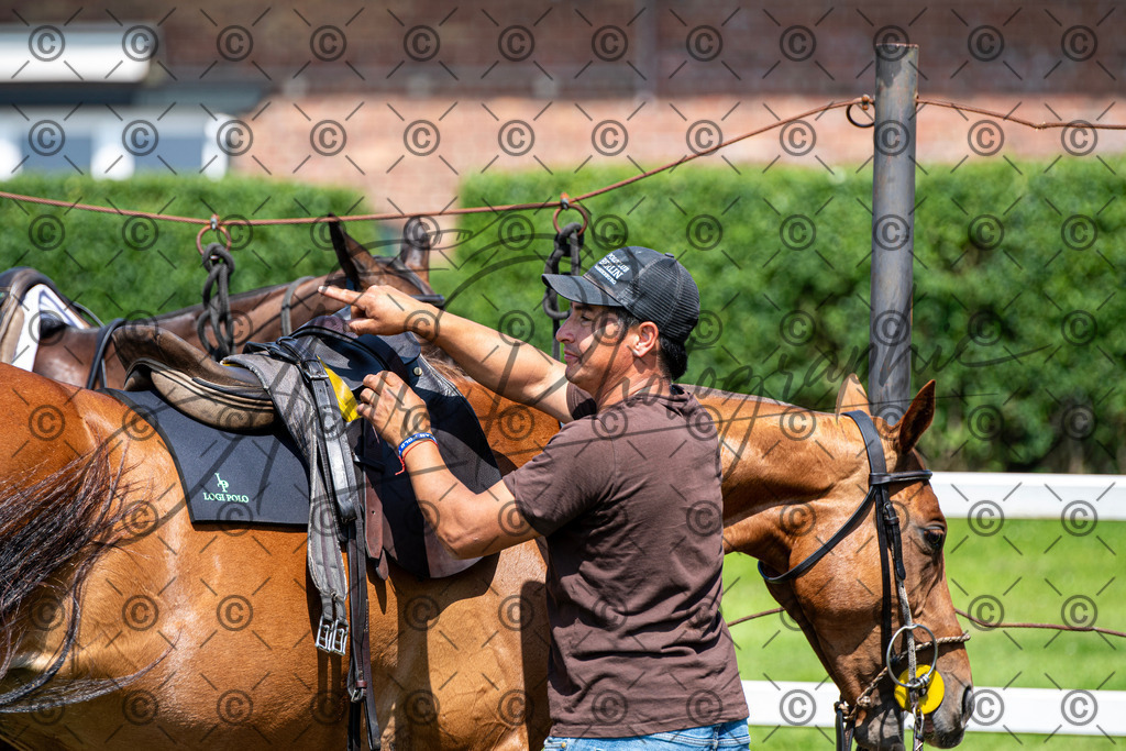 POL_2244 | andre_photographic