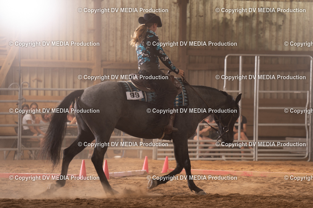 NID00715 | dv-media-shop - Realisiert mit Pictrs.com