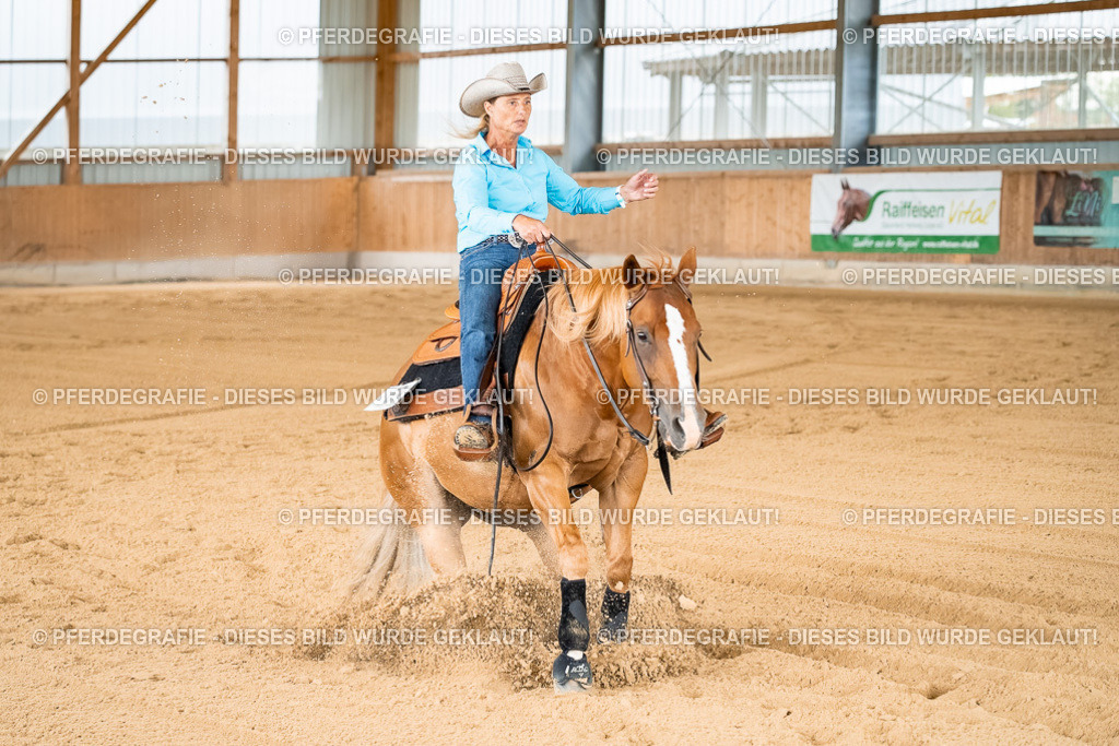 DSC02211 | Pferdegrafie